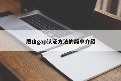 眉山gap认证方法的简单介绍
