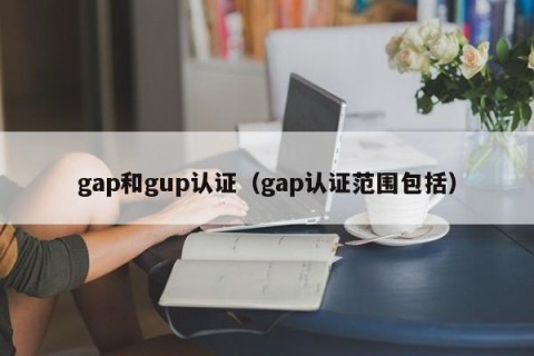 gap和gup认证（gap认证范围包括）