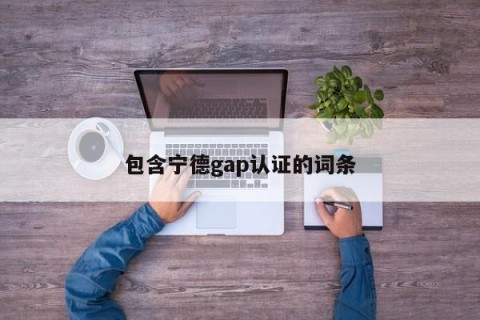 包含宁德gap认证的词条