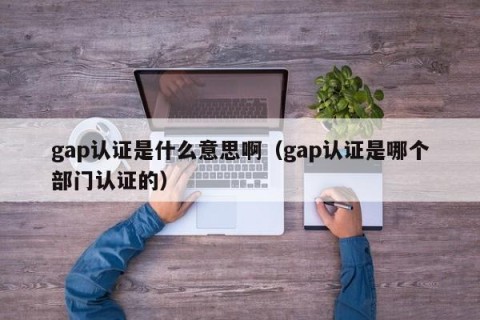 gap认证是什么意思啊（gap认证是哪个部门认证的）
