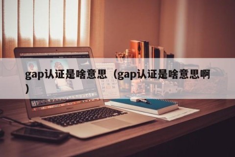 gap认证是啥意思（gap认证是啥意思啊）