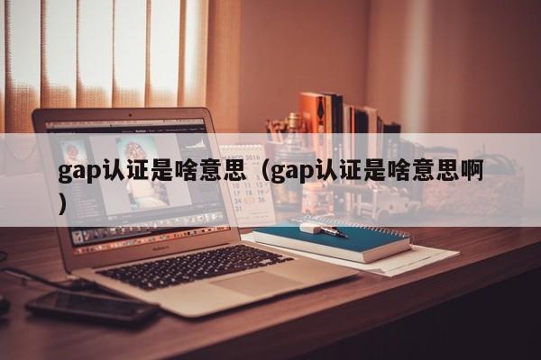 gap认证是啥意思(gap认证是啥意思啊)
