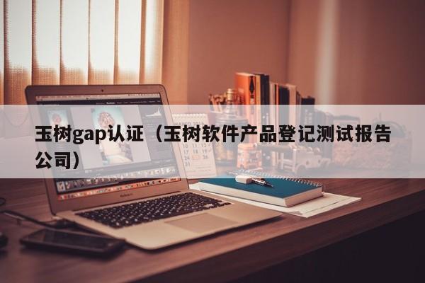 玉树gap认证(玉树软件产品登记测试报告公司)